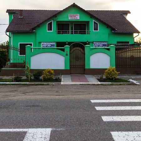 Pension Ladyna Hotel Sebiş Екстериор снимка