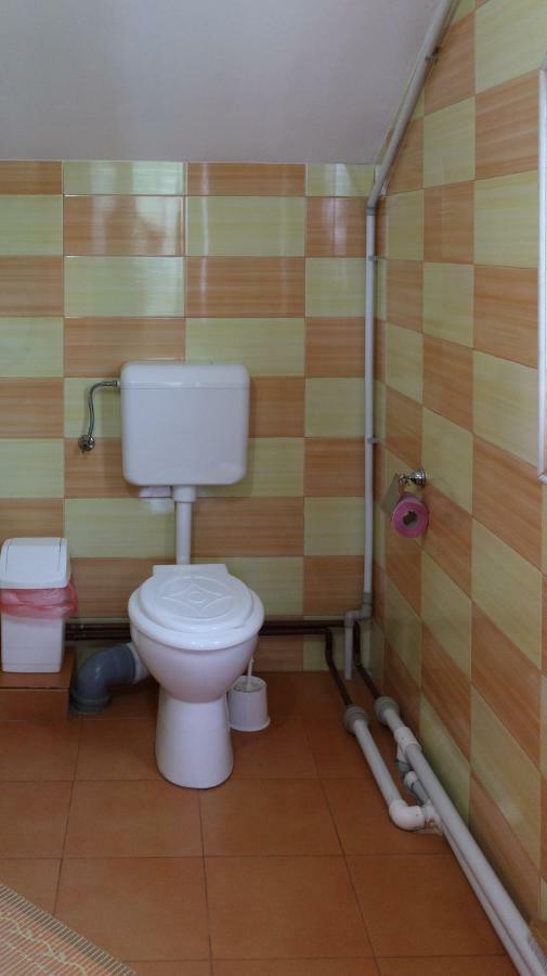 Pension Ladyna Hotel Sebiş Екстериор снимка