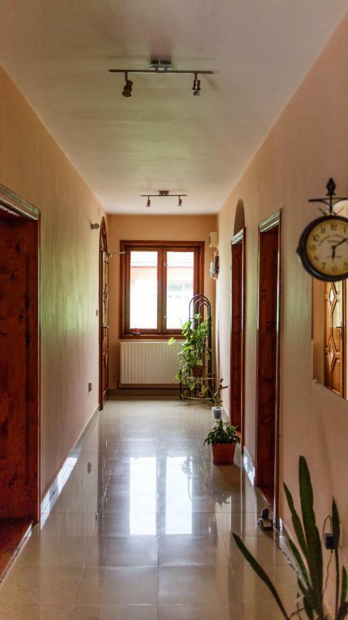 Pension Ladyna Hotel Sebiş Екстериор снимка
